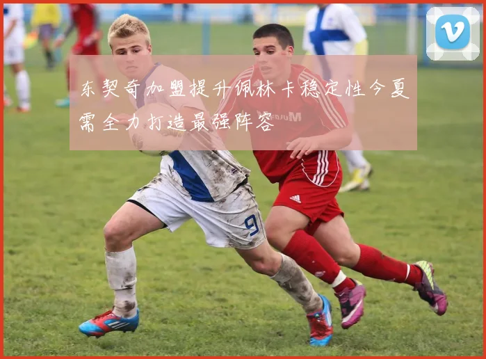 东契奇加盟提升佩林卡稳定性今夏需全力打造最强阵容