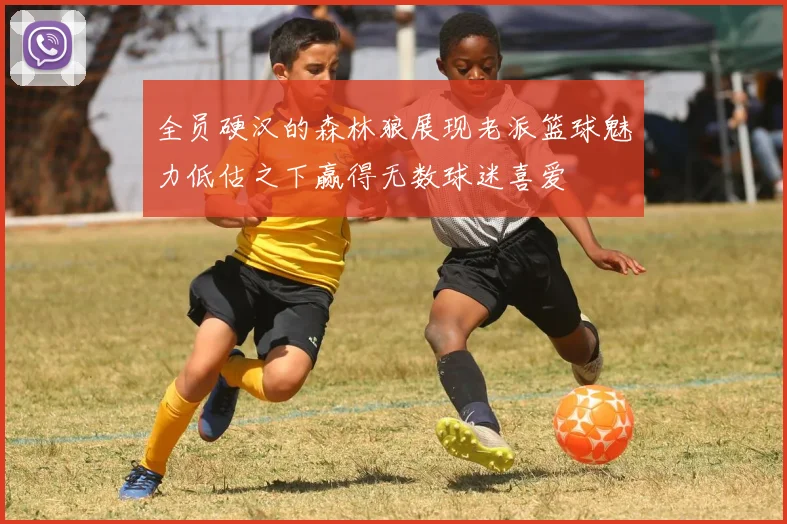 全员硬汉的森林狼展现老派篮球魅力低估之下赢得无数球迷喜爱